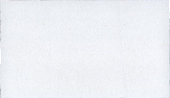 BIANCO CINTILANTE N.48006
