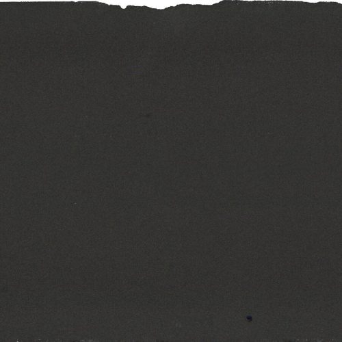 BLACK ABSOLUTE N.63608