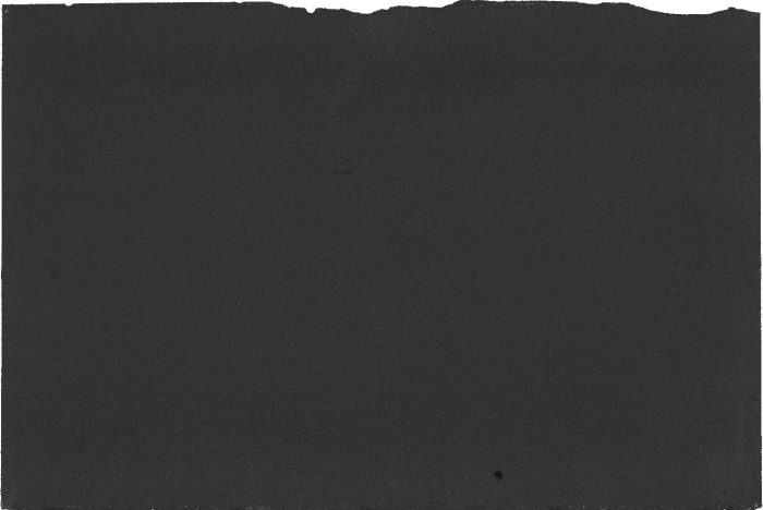 BLACK ABSOLUTE N.63608