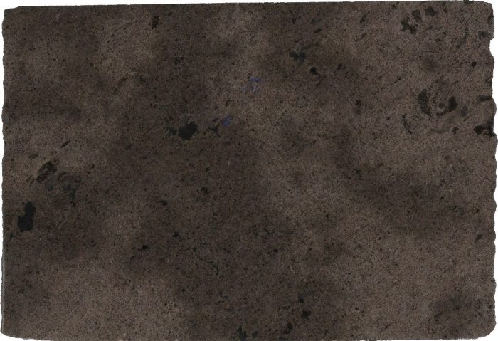 LABRADOR ANTICO N.14360