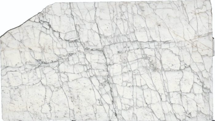 CALACATTA TUCCI N.51966