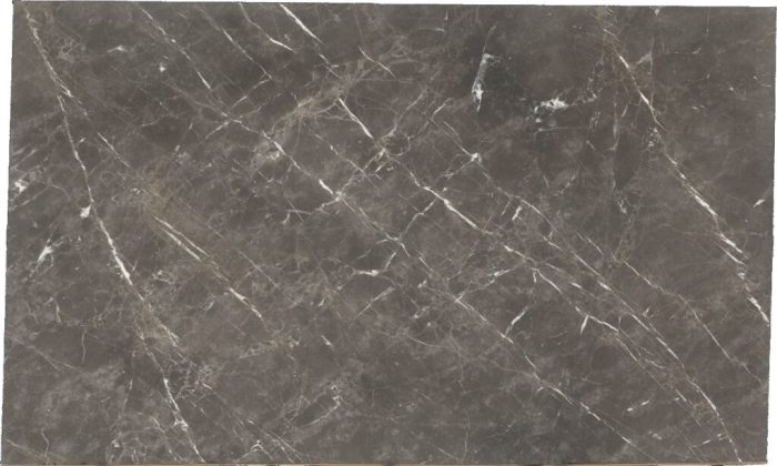 GRIGIO COLLEMANDINA N.64542