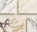 Different types of Calacatta marble showcased in complete guide featuring Borghini with gray veining, Gold with golden tones, and Viola with purple veining patterns