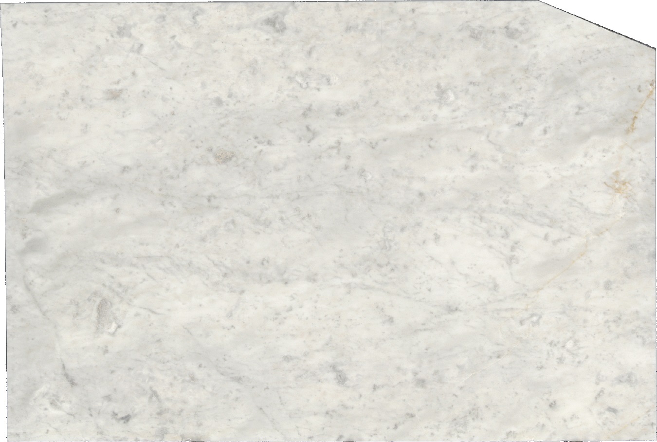 ARCTIC WHITE N.51572 ARCTIC WHITE N.51572