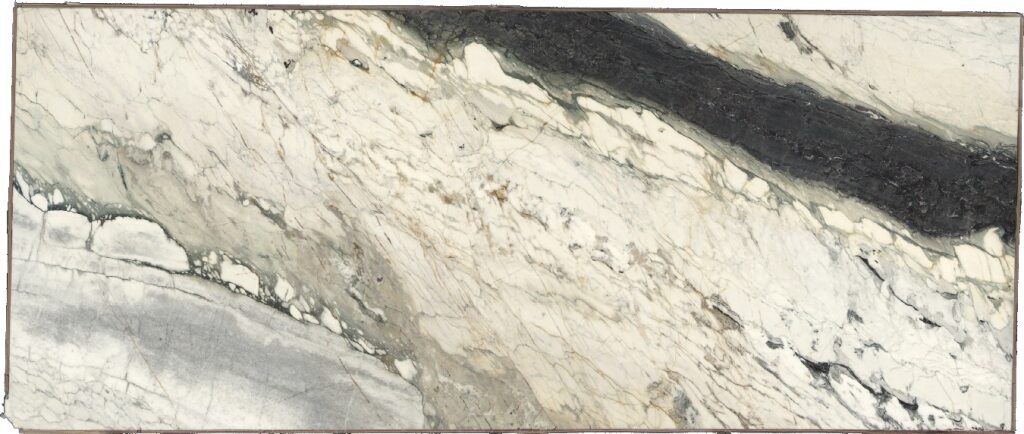 BRECCIA CAPRAIA N.62216 BRECCIA CAPRAIA N.62216