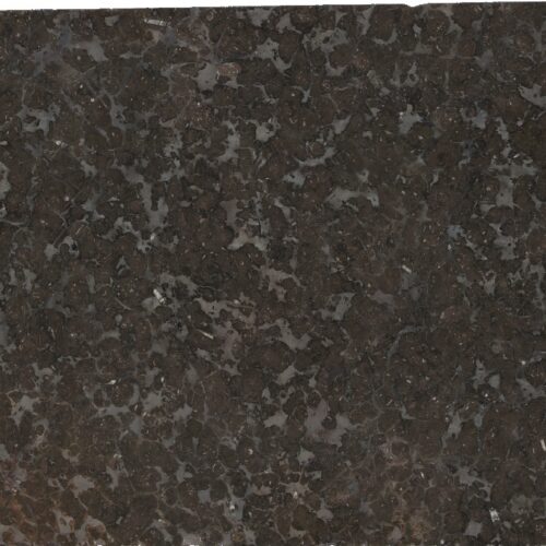 FOSSIL BROWN N.19144