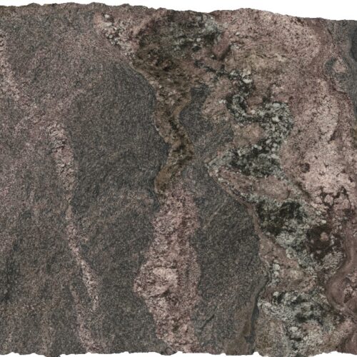 JUPARANA SNAKE N.26257