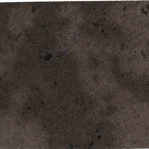 LABRADOR ANTICO N.14360