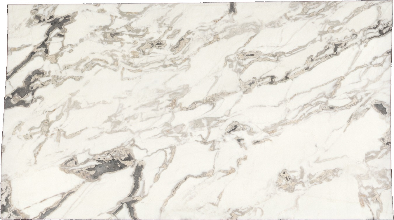OYSTER WHITE N.58583 OYSTER WHITE N.58583