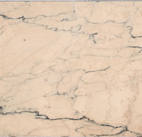 ROSA PORTOGALLO EXTRA N.63704