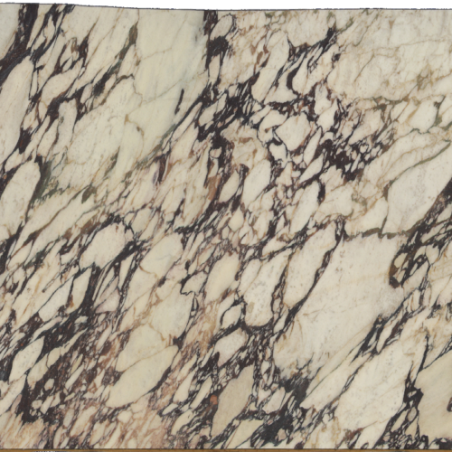 CALACATTA VIOLA EXTRA N.65023